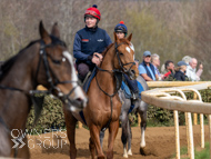 BP200326-26 - It's Hard To Know